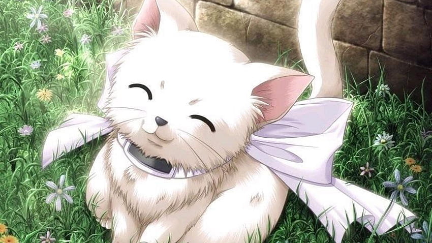 Cute Kitty Cat Anime Chibi Kitten HD wallpaper  Pxfuel