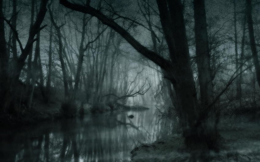 พื้นหลังป่าหมอก, ป่าหมอกมืด วอลล์เปเปอร์ HD