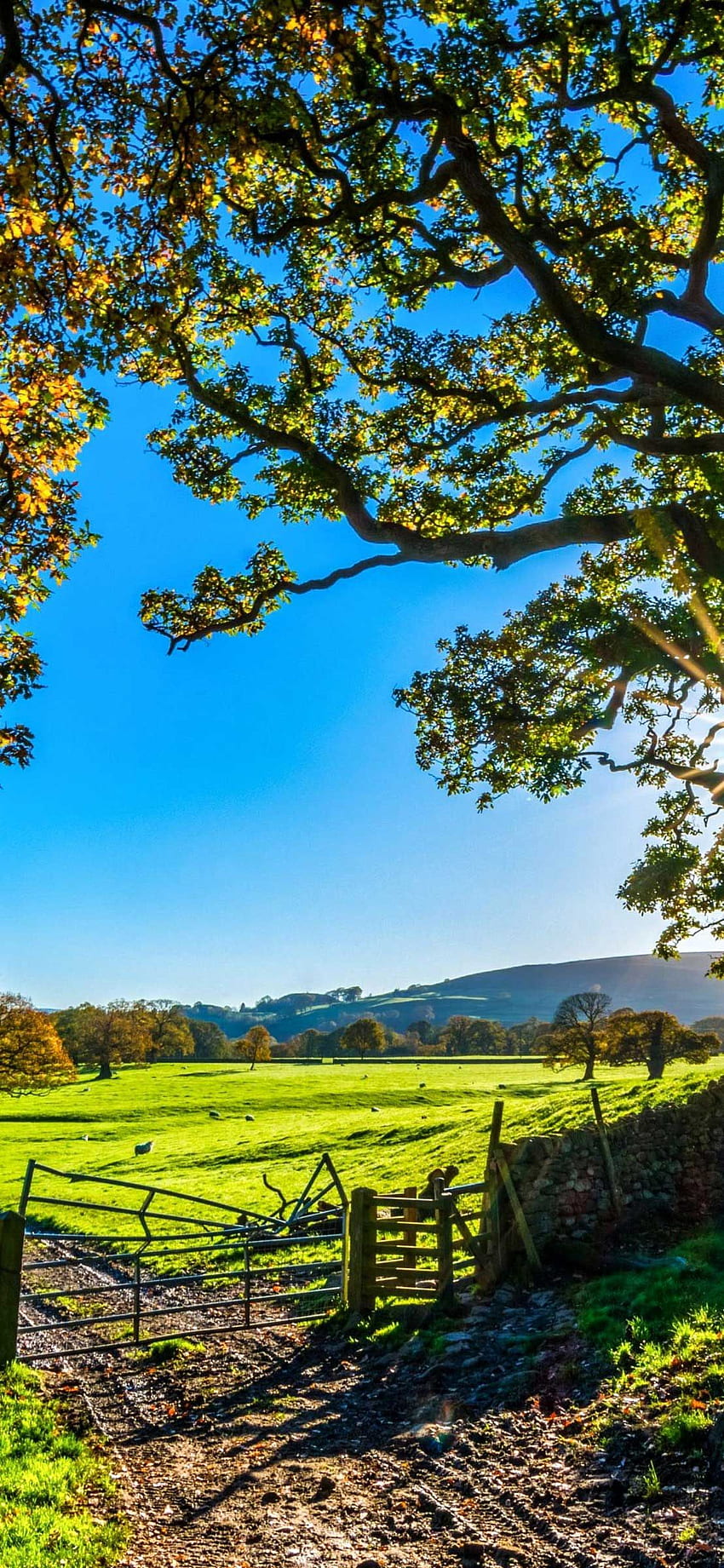 schöne England-Naturlandschaftslandschaft iPhone Proma. Landschaft, iPhone England, Landschaft HD-Handy-Hintergrundbild
