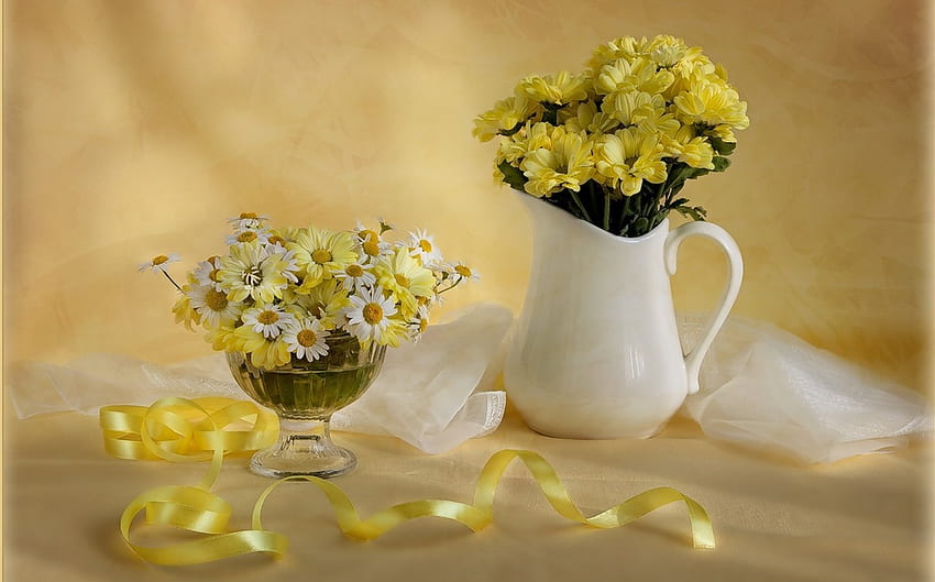 Still life, bouquet, graphy, colors, daisies, beauty, nice, delicate, flower, chrysanthemums, , white, ribbon, elegantly, soft, beautiful, cup, gently, jug, pretty, daisy, yellow, cool, flowers, chrysanthemum, lovely, harmony HD wallpaper