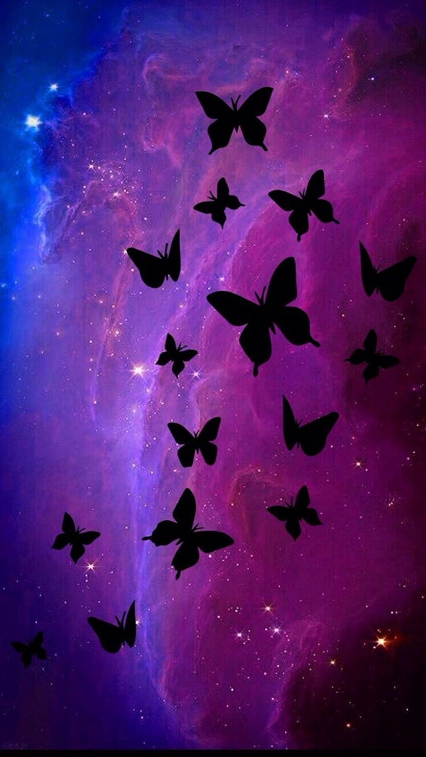 Black and Purple Butterflies, Purple Butterfly iPhone HD phone ...