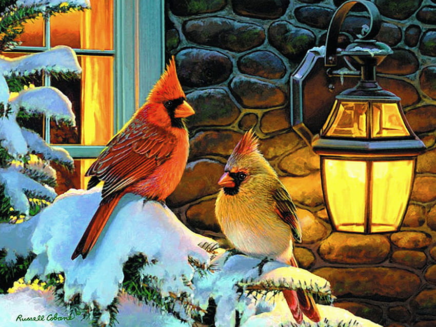 Ficar quente, inverno, feriado, pássaro, luz, neve, natal, cardeal papel de parede HD