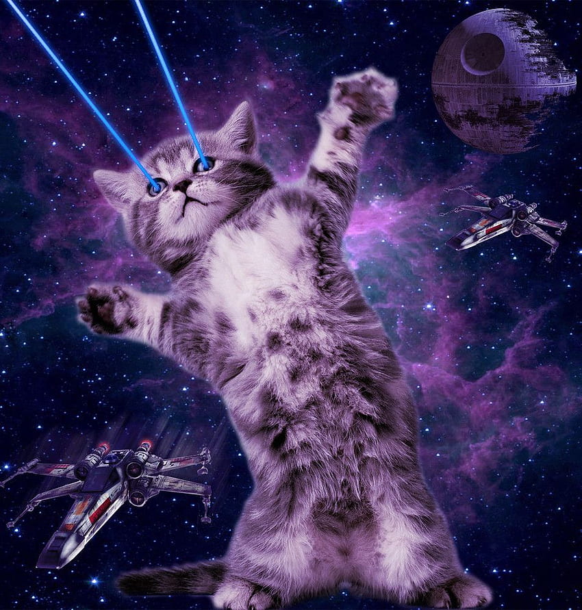 iPhone 5 แมวอวกาศที่น่าตื่นเต้น สัตว์พร้อมกับแมวในอวกาศ วอลล์เปเปอร์โทรศัพท์ HD