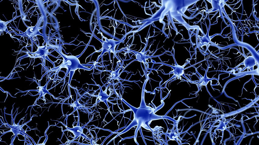 Neuroscience , collections of HD wallpaper