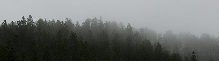 Landschaft Natur Dual-schirm und Hintergrund, Dual-Monitor-Wald HD-Hintergrundbild