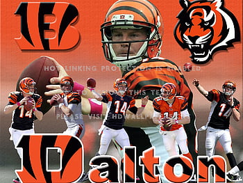 With A.J. Green out, the Bengals need Andy Dalton to step up. USA TODAY ...