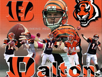 Andy Dalton phone wallpaper : r/bengals