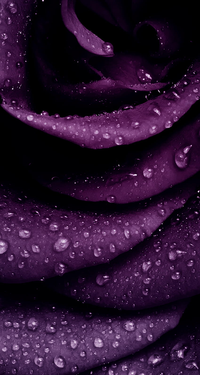 IPHONE WALLPAPER PURPLE ABSTRACT
