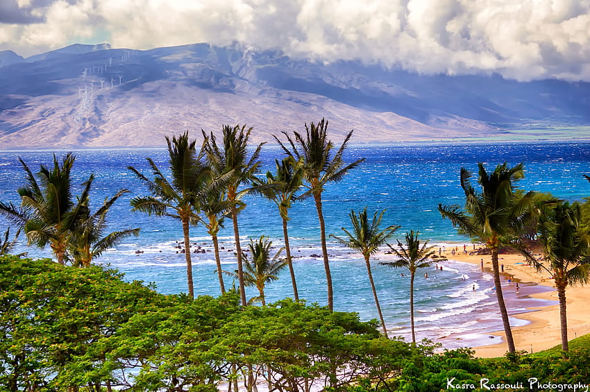 Nature, Mountains, Sea, Beach, Palms HD wallpaper