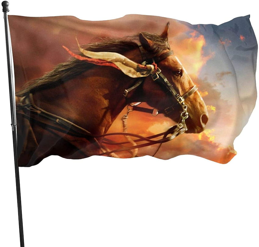 pengyong Horde War Horse Foot Bandera de poliéster, Banderas de playa duraderas resistentes a la decoloración con encabezado y ojal de latón, fácil de usar: Hogar y cocina fondo de pantalla