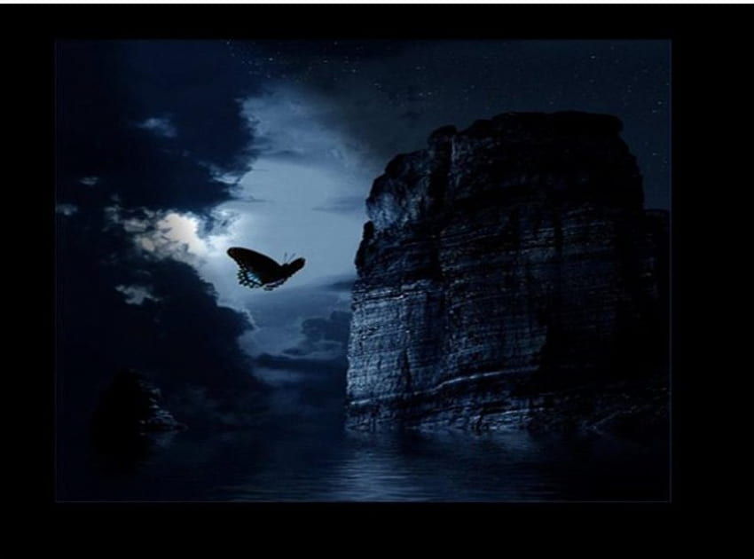 Night Butterfly, noite, céu azul, escuridão, borboleta papel de parede HD