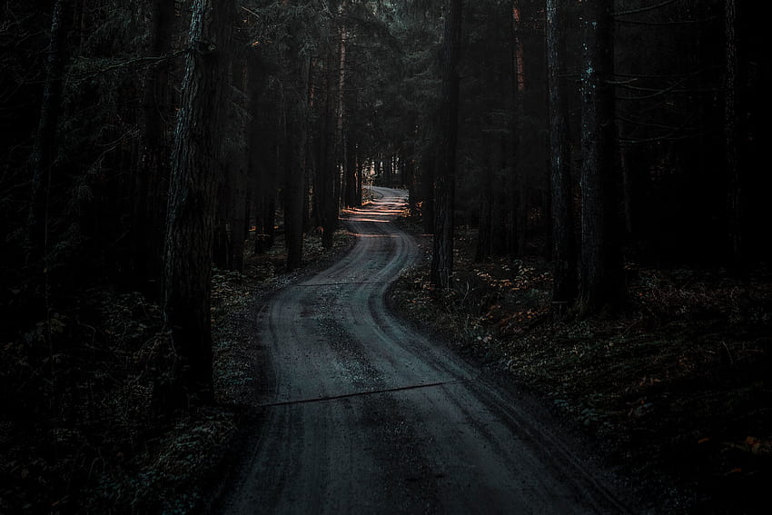 Nature, Dark, Road, Forest, Winding, Sinuous HD wallpaper