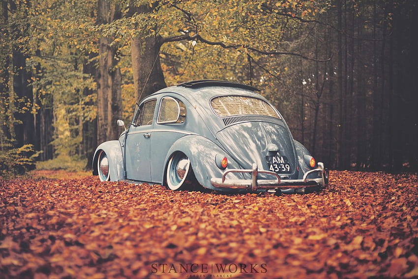Under the October Rain – Rick Tolboom's 1959 Volkswagen Beetle, Tumblr Volkswagen HD wallpaper