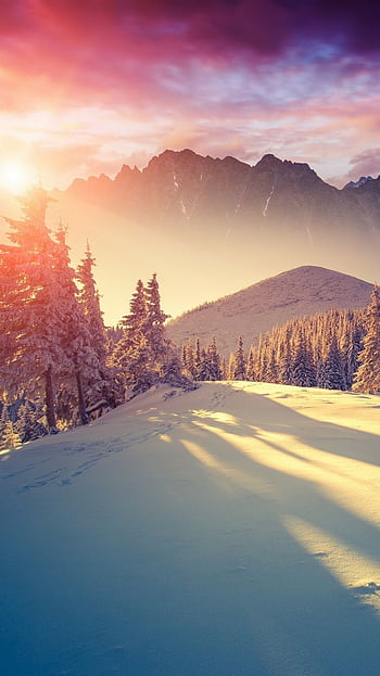 Hình nền đẹp mùa đông với tuyết rơi dễ thương cho iPhone - Hãy tận hưởng mùa đông thú vị với hình nền đẹp và dễ thương cho điện thoại của bạn. Các hình ảnh với tông màu trắng tuyết và tông màu pastel ngọt ngào sẽ làm cho bạn cảm thấy thư giãn và tận hưởng không khí của mùa đông.
