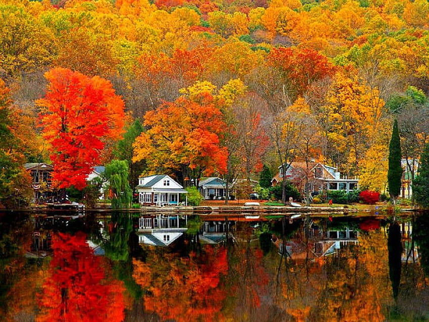 秋の色の反射、ニュー イングランドの秋 高画質の壁紙