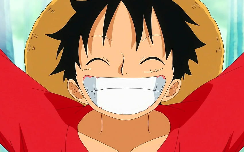 New ONE PIECE anime episodes delayed after Toei cyberattack