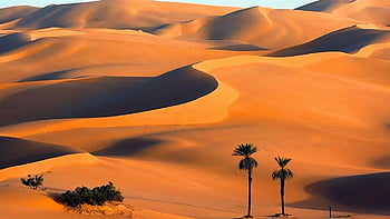 Desert dubai HD wallpapers | Pxfuel