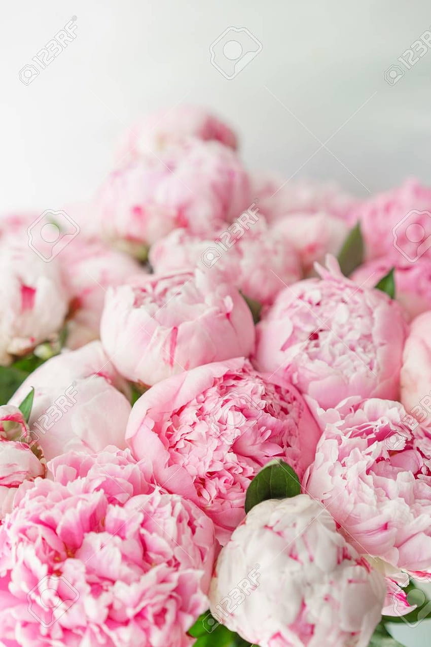 Pink Peonies Floral Composition Daylight Lovely [] for your , Mobile & Tablet. Explore Pics Lovely. Best Love , Love , Lovely For, Beautiful Peonies HD phone wallpaper