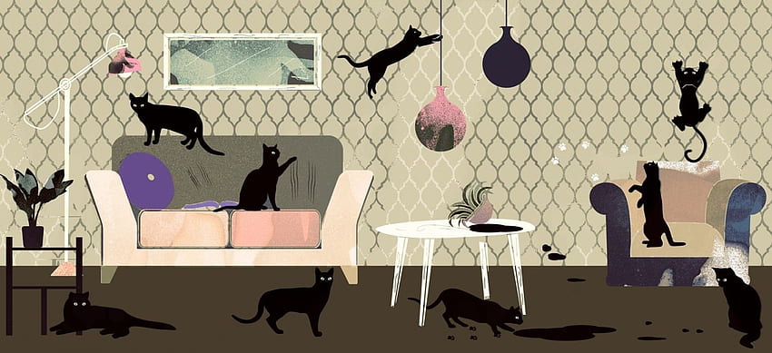 The cat's (or dog's) whiskers! Which are suitable for pet owners?. Blog. Lookbook, Scared Cat HD wallpaper