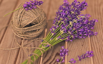 Hương thơm dịu nhẹ của hoa Lavender đưa ta vào thế giới của sự thư thái và yên bình. Hãy đón nhận cảm giác tuyệt vời này bằng cách chiêm ngưỡng những cánh hoa lãng mạn và tuyệt đẹp này.