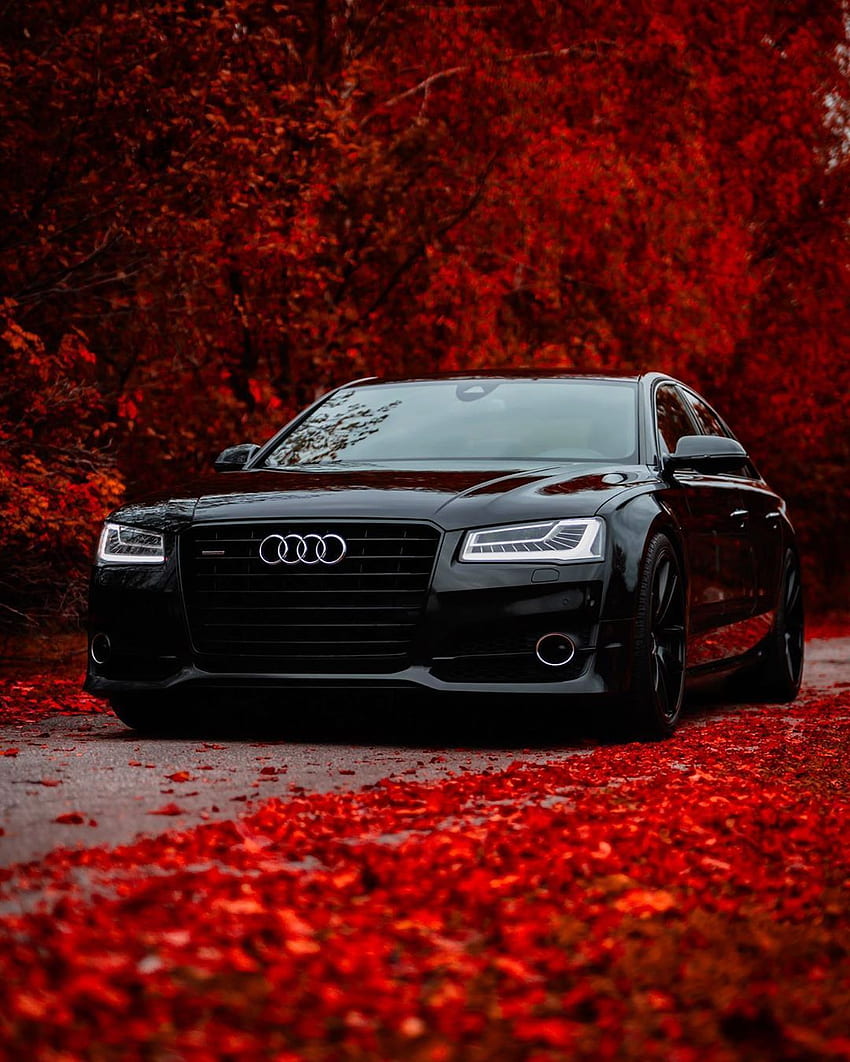 Audi A8 4H D4 4.2 V8 BiTDI on Instagram: “Happy Valentine, Dark Audi HD phone wallpaper