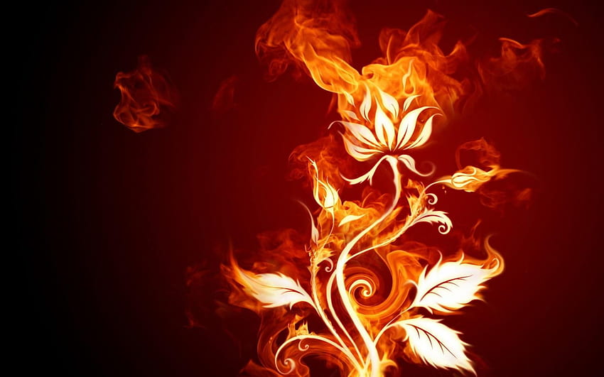 Fire , Background, , . Design Trends - Premium PSD, Vector s, Cute Fire HD wallpaper