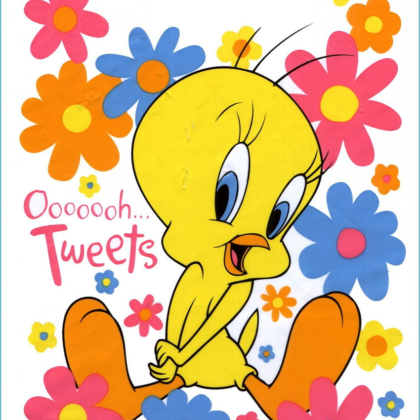 Tweety Bird q - - - Tweety Bird, Cute Tweety Bird HD phone wallpaper
