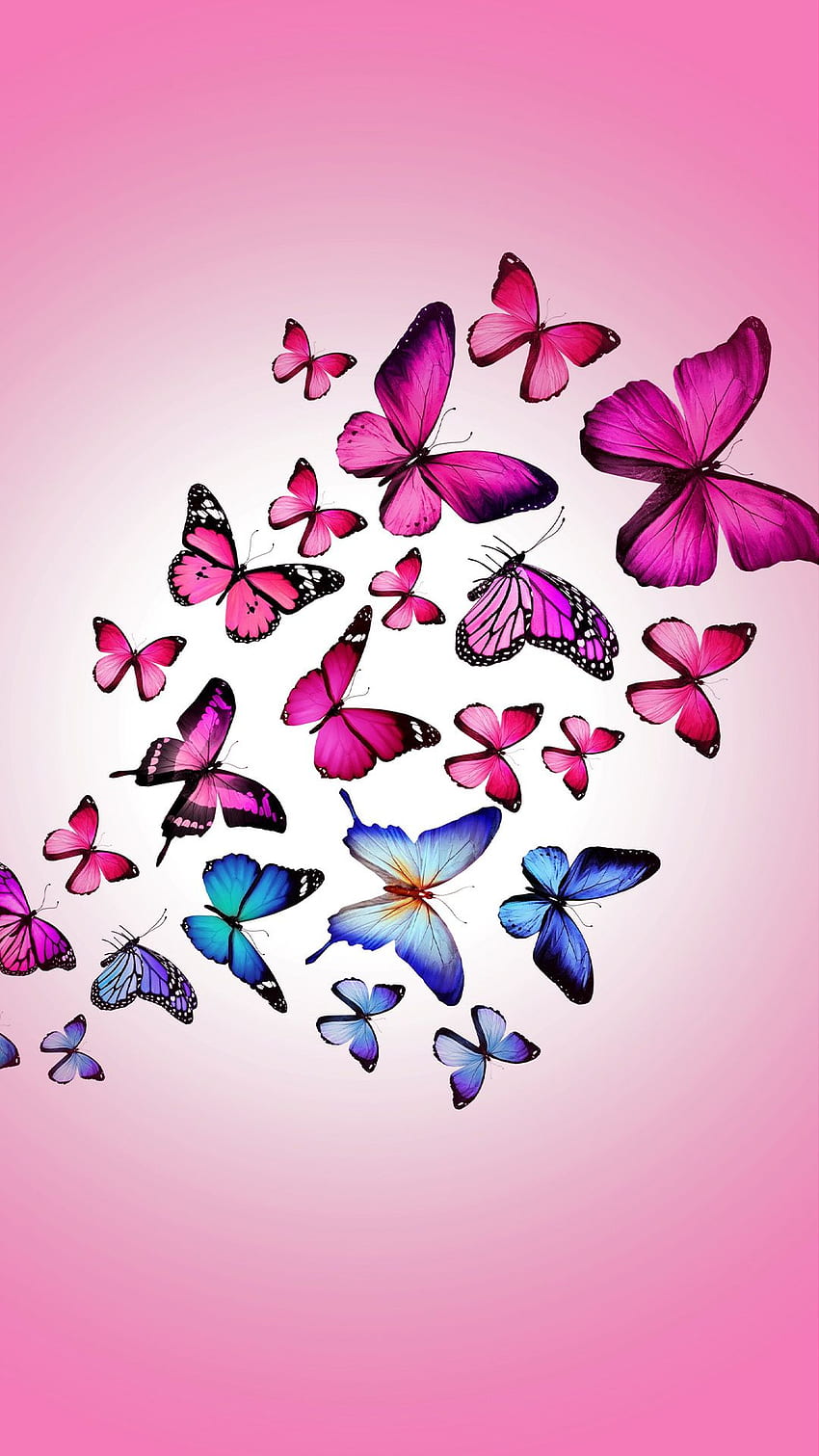 Butterfly iphone wallpapers