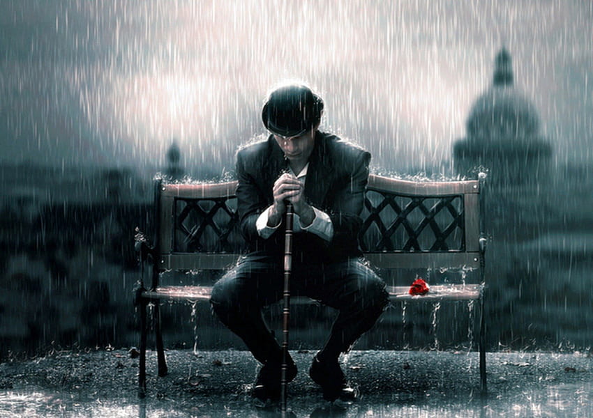 Rain, rose, bench, man HD wallpaper