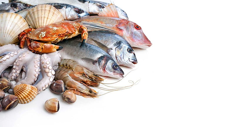 FRUTOS DO MAR comida peixe mar oceano . . 722595 papel de parede HD