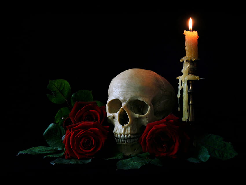 still life, burning candle, graphy, roses, skull, beautiful, nice, rose, old, candle, red, cool, flowers, , flower bouquet HD wallpaper