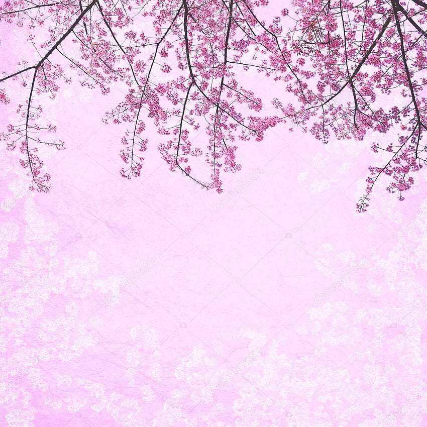 Background Bunga Sakura Pink - - - Tip HD phone wallpaper