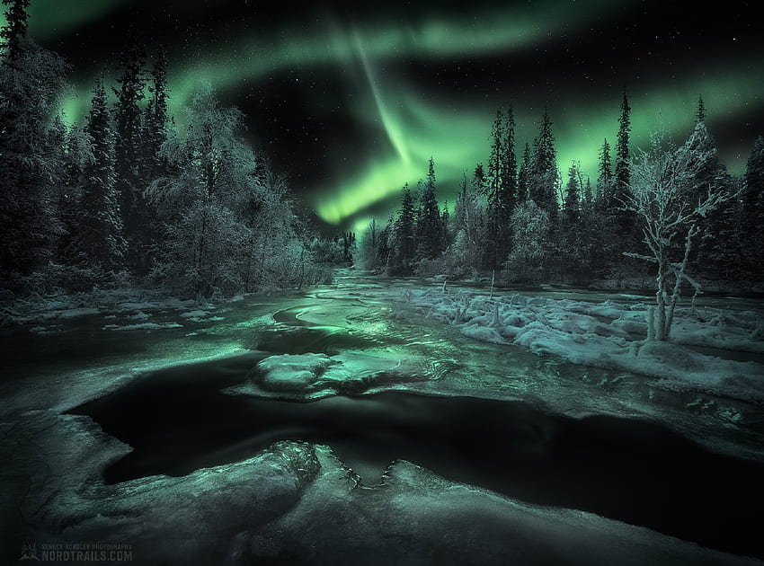 Aurora boreal sobre a paisagem de inverno, Inverno, Céu, Árvores, Neve, Água, Noite papel de parede HD