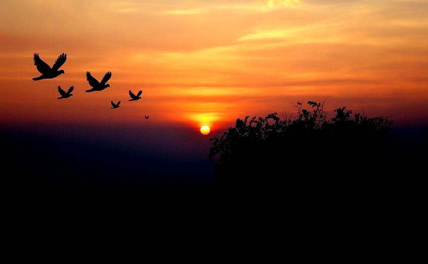 Guten Abend, schöner Himmel, Sonnenuntergang - brauche nur Seelenfrieden HD-Hintergrundbild