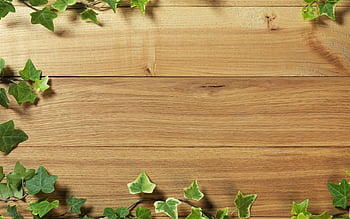 Vật liệu gỗ luôn được xem là một trong những vật liệu thiết kế đẹp và bền bỉ nhất. Không chỉ có tính thẩm mĩ cao, vật liệu gỗ còn đem lại sự ấm áp và gần gũi cho không gian sống.
