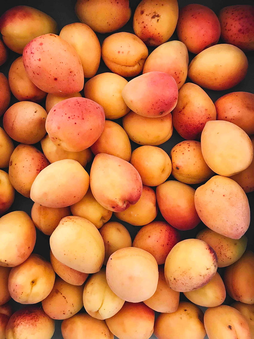 Fruits, Food, Ripe, Harvest, Apricots HD phone wallpaper