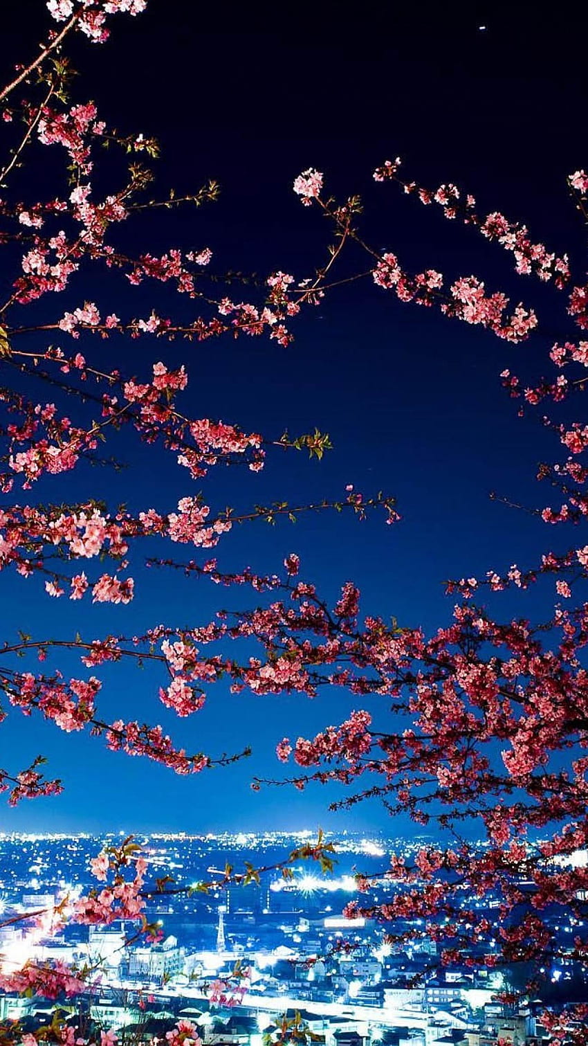 Japan tokyo cherry blossoms city lights cityscapes, Zen Japanese Cherry Blossom HD phone wallpaper
