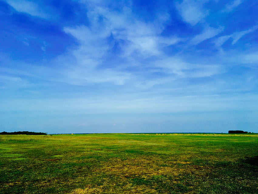 Nature, Grass, Sky, Summer, Field HD wallpaper