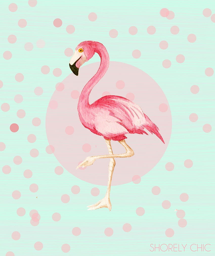 cute flamingos.. to come up with a cute new flamingo print HD phone wallpaper