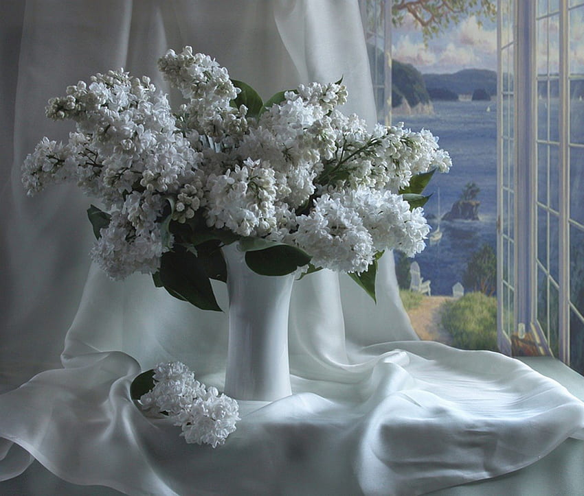 Still Life ✿, sea, still life, style, white, delightful, flowers, diaphanous, elegance HD wallpaper