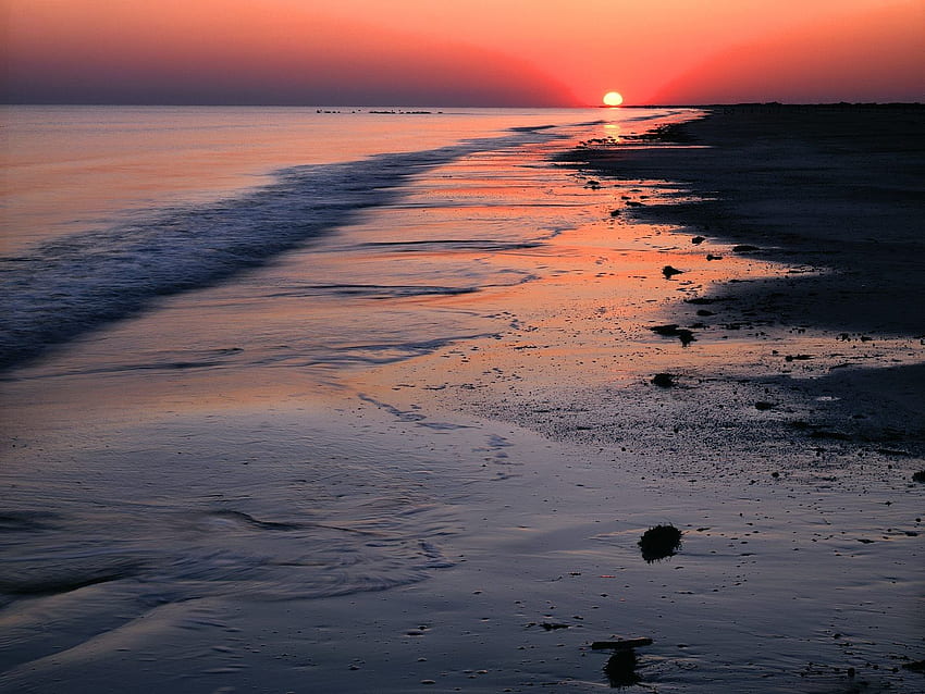ชายหาด: ชายหาดธรรมชาติ พระอาทิตย์ตก อ่าวเม็กซิโก ทะเลริม สวนสาธารณะเท็กซัส ชายหาดเม็กซิกัน วอลล์เปเปอร์ HD