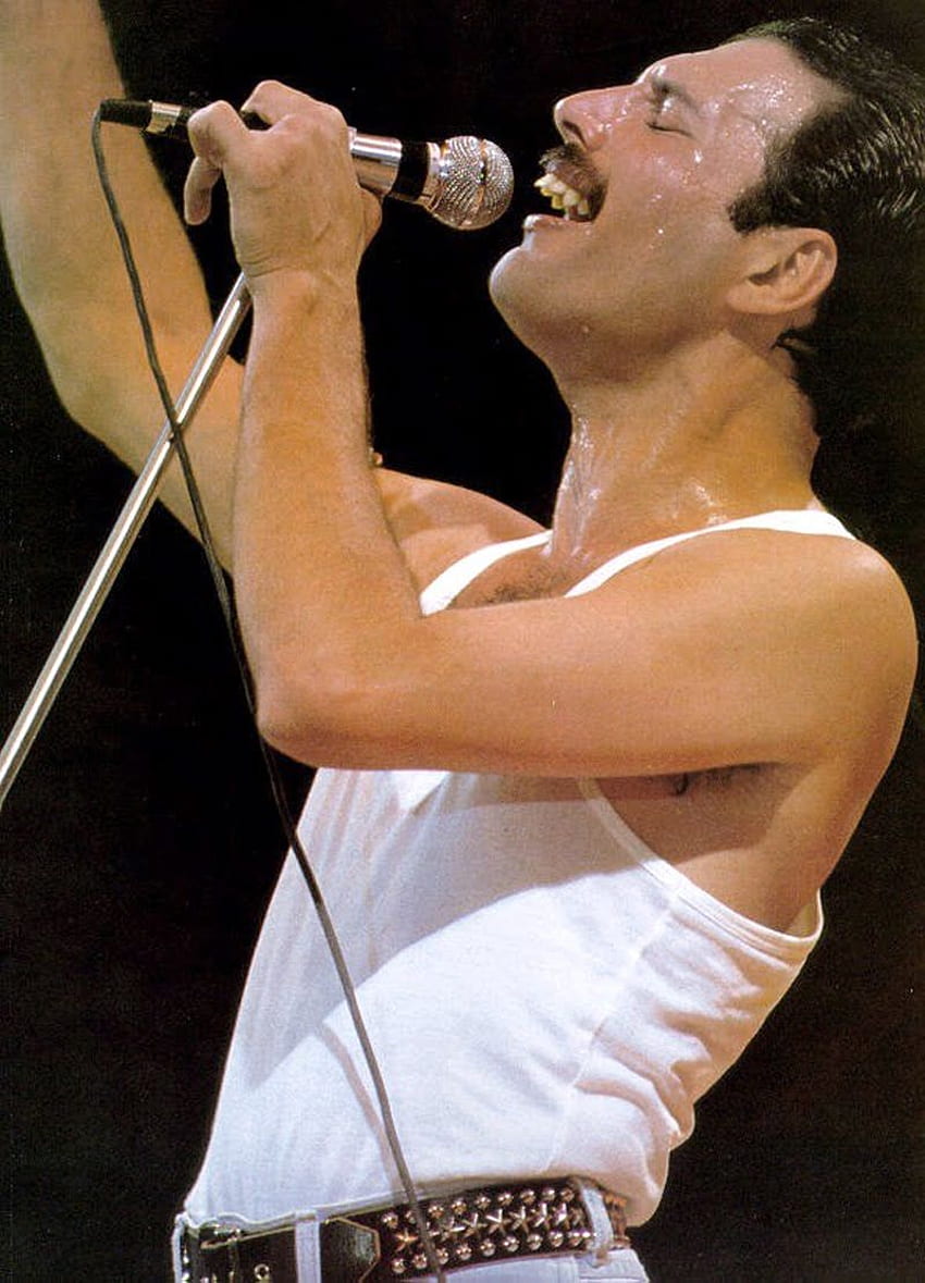 Live Aid, Freddie Mercury Live Aid HD phone wallpaper