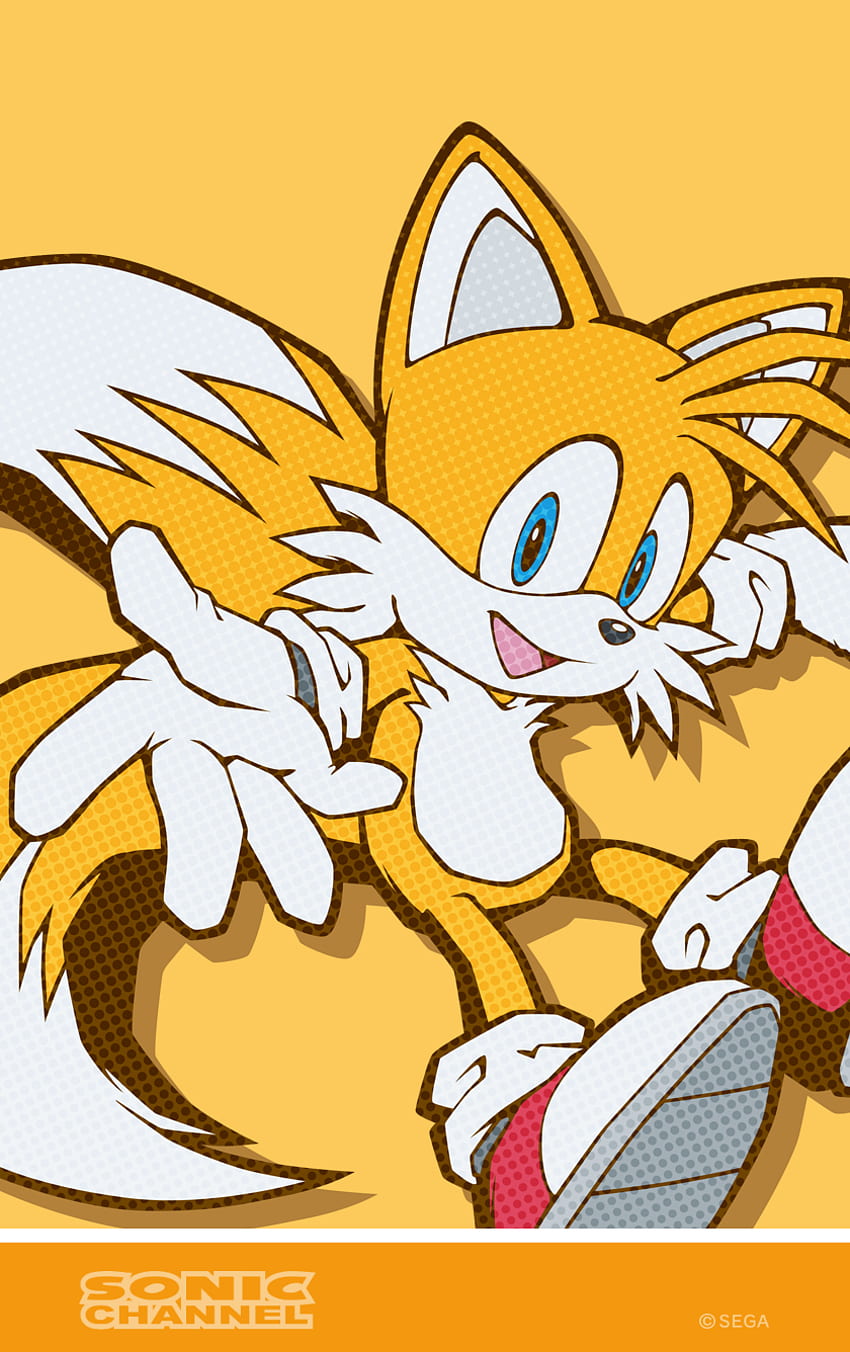 tails wallpaper by chicaramirez  Video game backgrounds Cute pokemon  wallpaper Cute anime wallpaper