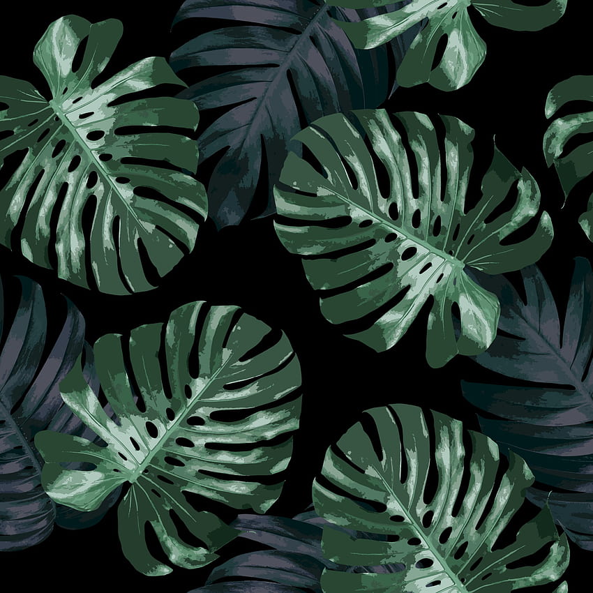 Seamless pattern design of tropical leaves on black background monstera and philodendron plant vector illustration 2011415 Vector Art at Vecteezy HD phone wallpaper