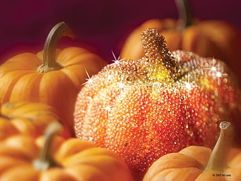 Sparkly Pumpkin glitter autumn fall sparkle decorate ideas pumpkin,  Thanksgiving Pumpkin HD wallpaper | Pxfuel