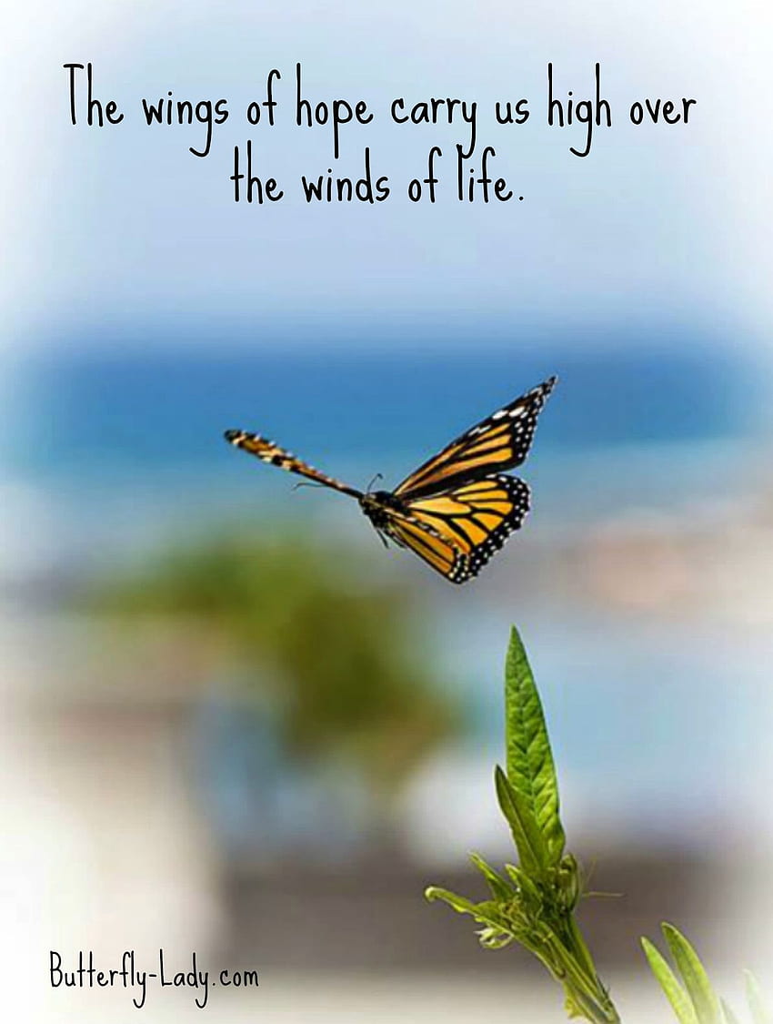 The Wings of Hope. Butterfly quotes, Butterfly inspiration, Mother nature quotes HD phone wallpaper