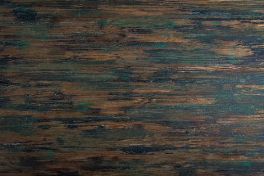 Wood, Tree, Texture, Textures, Paint, Surface HD wallpaper