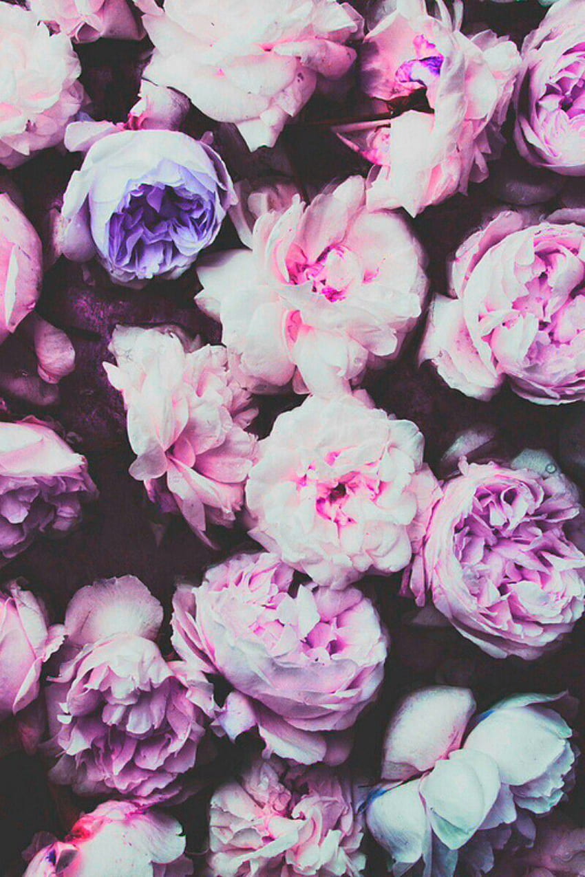 Vintage Flowers Tumblr, Indie Flower HD phone wallpaper