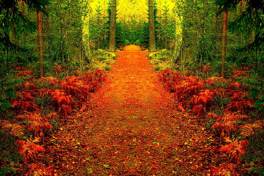 10月、カラフル、輝き、色、素敵、反射、輝き、秋、黄金、秋、美しい、木、落ちる、葉、鏡、きれい、枝、自然、美しい、葉 高画質の壁紙