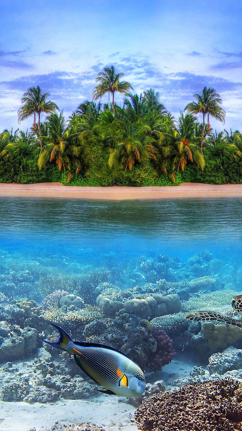 Île Tropicale, Île Tropicale Mobile Fond d'écran de téléphone HD